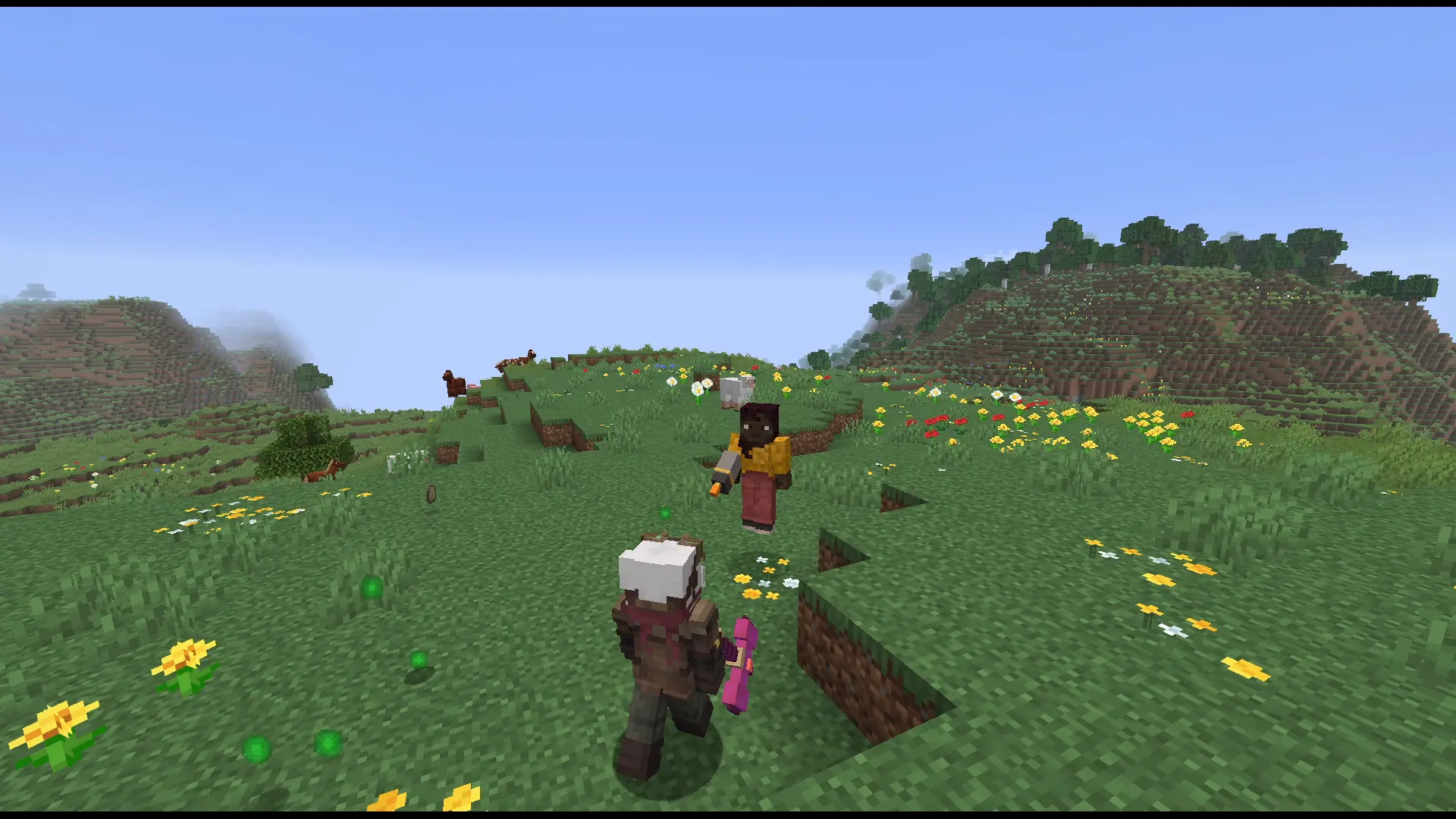 A kitted fight in an open field